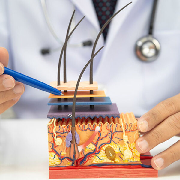 Trychologia - poziom I